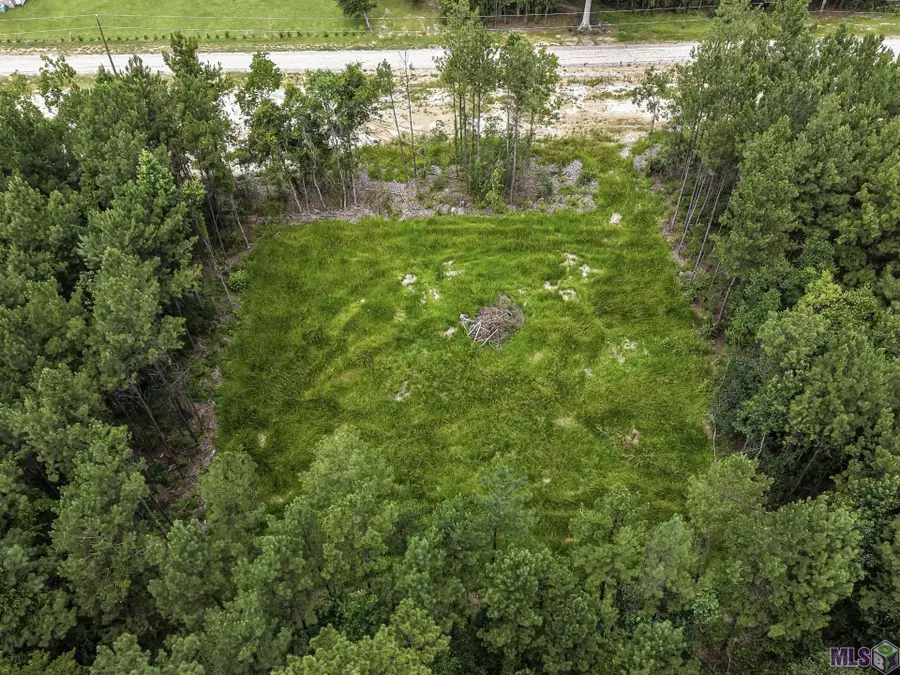 17249 Jack Allen Rd, Livingston, LA 70754 - #3