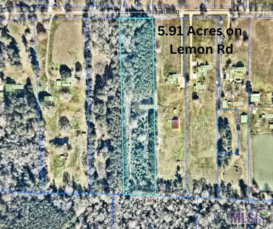 TBD Lemon Rd, Slaughter, LA 70777 - #1