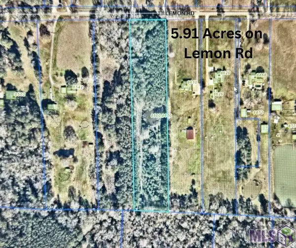 TBD Lemon Rd, Slaughter, LA 70777