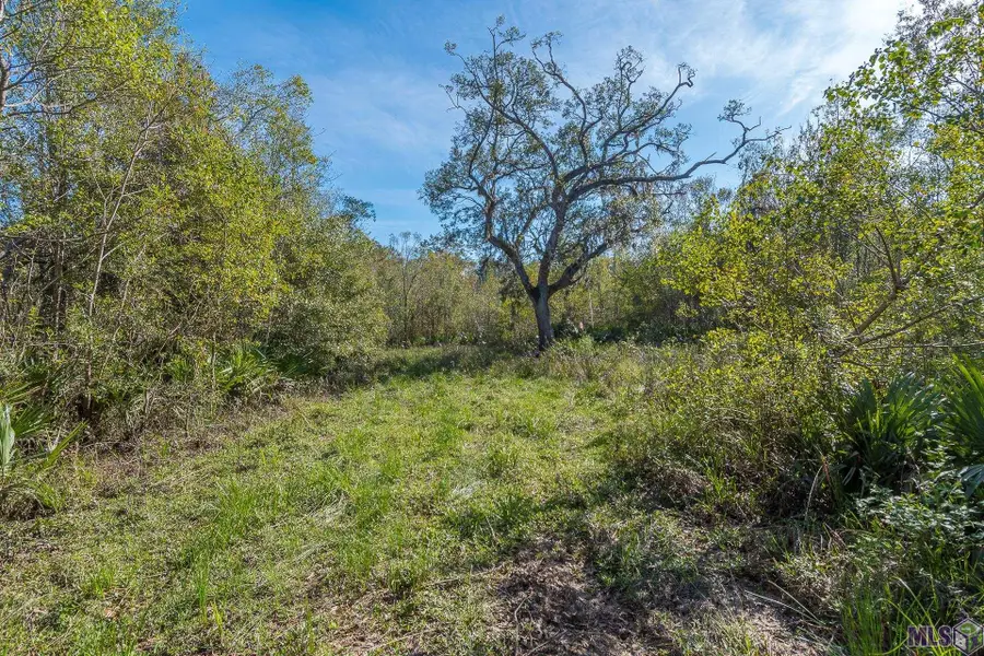 49225 Hwy 22, Saint Amant, LA 70774 - #2