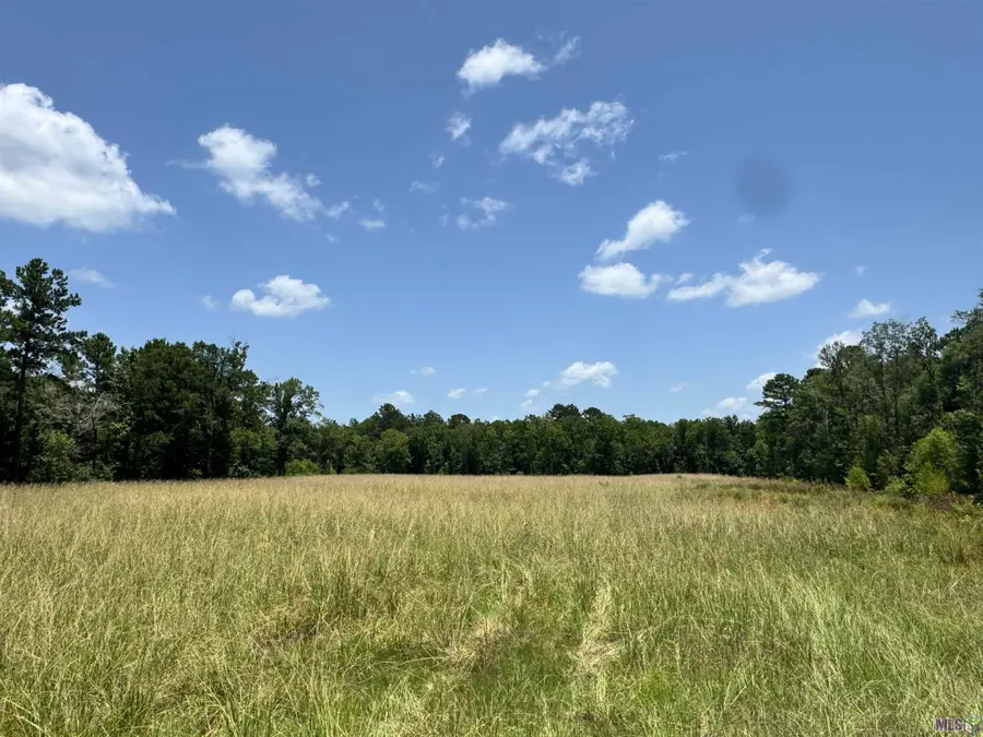27538 S Frost Rd, Livingston, LA 70754 - #3