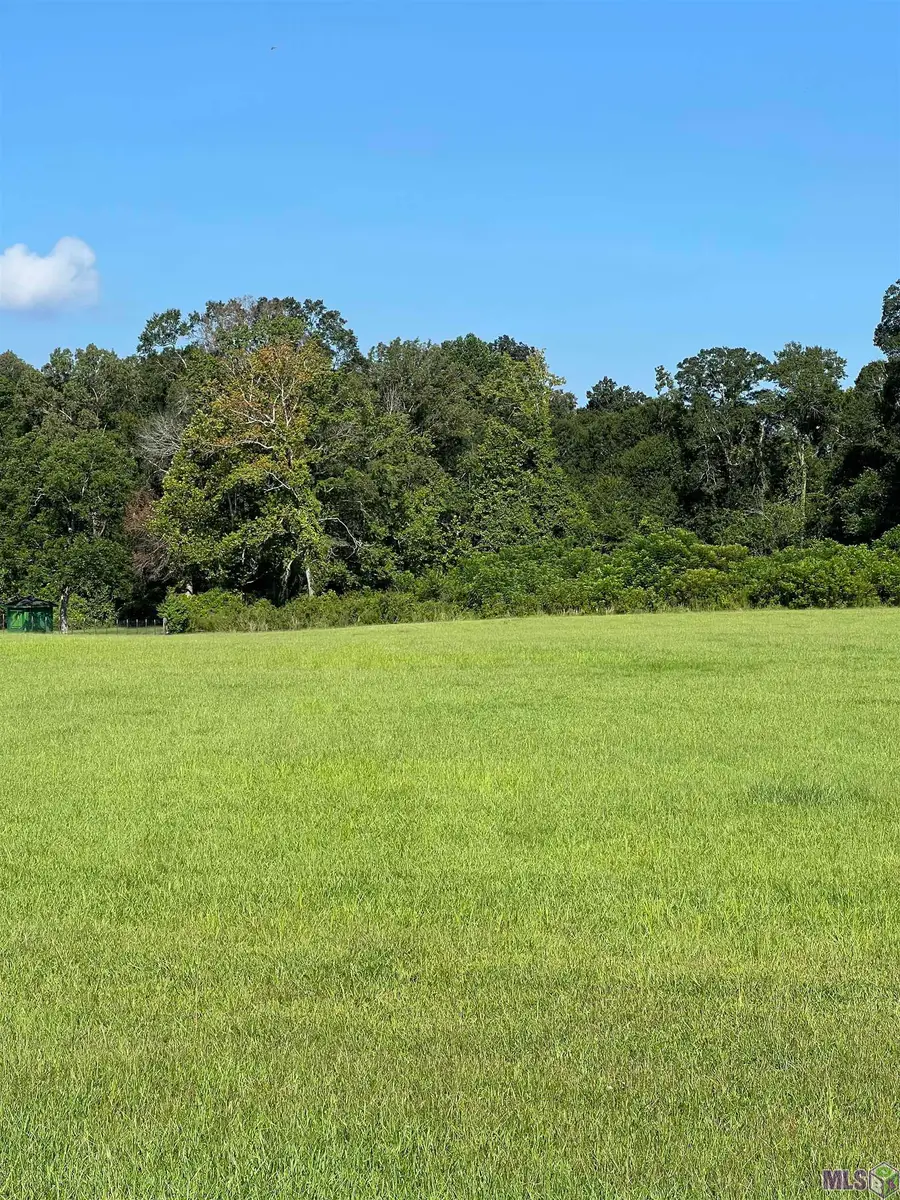 22005 Plank Rd, Zachary, LA 70791 - #3