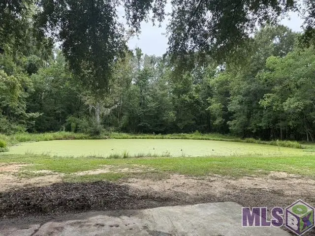 3376 Piper Rd, Slaughter, LA 70777 - #3