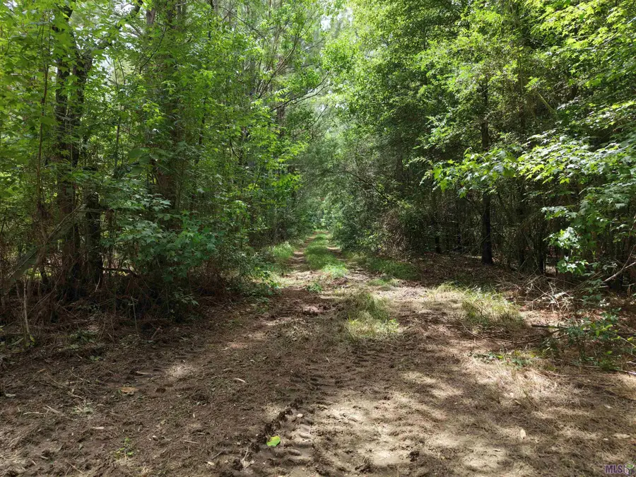 Tract B Jackson Rd, Kentwood, LA 70444 - #2