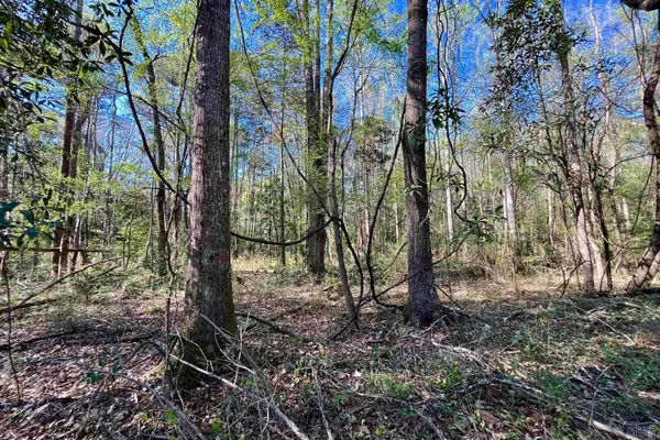 40 Lillian Ln, Ethel, LA 70730