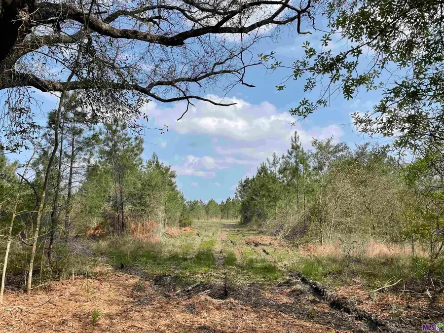 Tract 12 Lorin Wall Rd, Holden, LA 70774 - #3