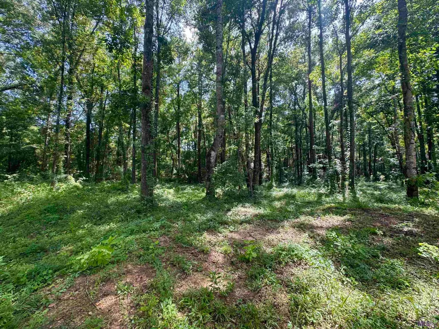 RS-9&10 J.h. Jenkins Ln, Denham Springs, LA 70706 - #3