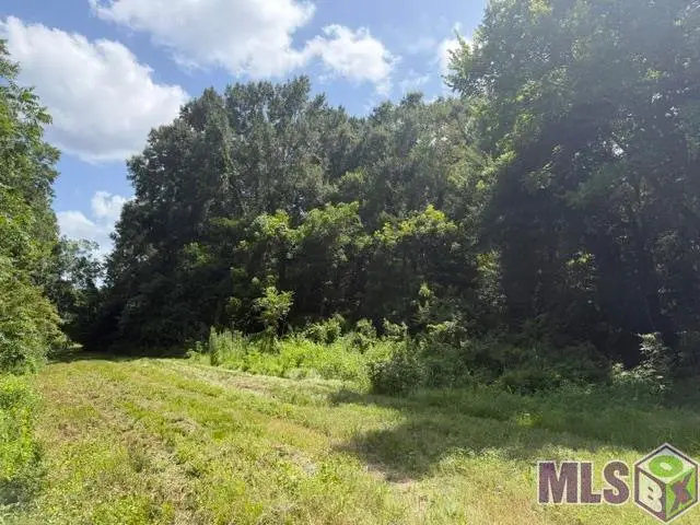 12140 Boudreau St, New Roads, LA 70760 - #2