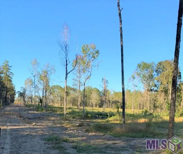 1E La Hwy 63, Clinton, LA 70722 - #2