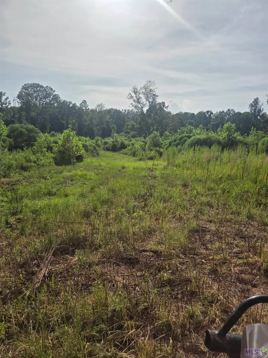 360 Perry Ct, Woodville, MS 39669 - #2