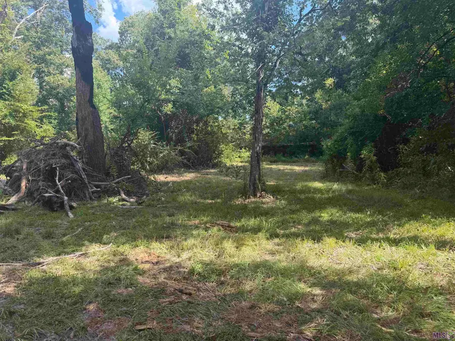 12050 Mockingbird Ln, Walker, LA 70785 - #3