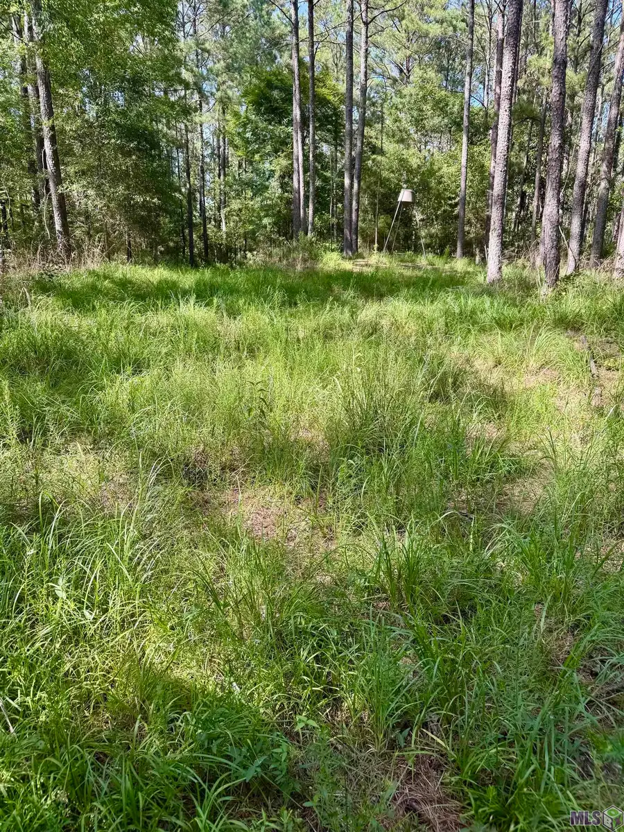 0 Vine Hollow, Woodville, MS 39669 - #3