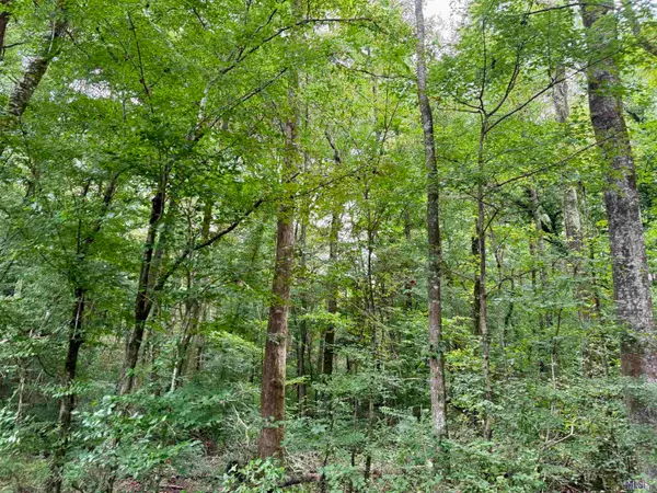 2194 Ms Hwy 570, Summit, MS 39666