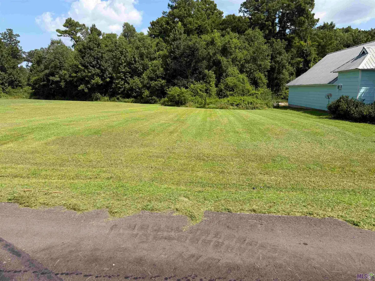 Riverscape Dr, Springfield, LA 70462 - #1