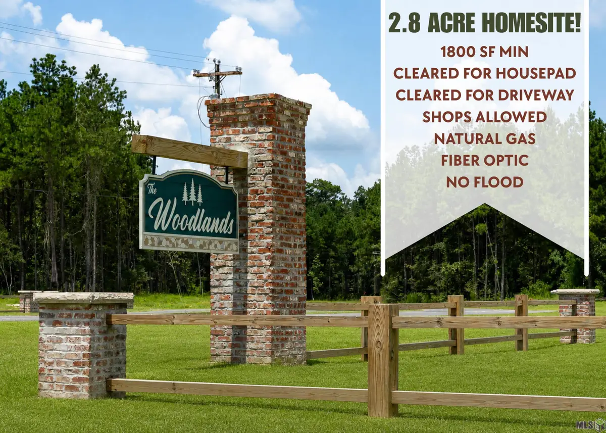 18929 Honey Grove, Livingston, LA 70754 - #1