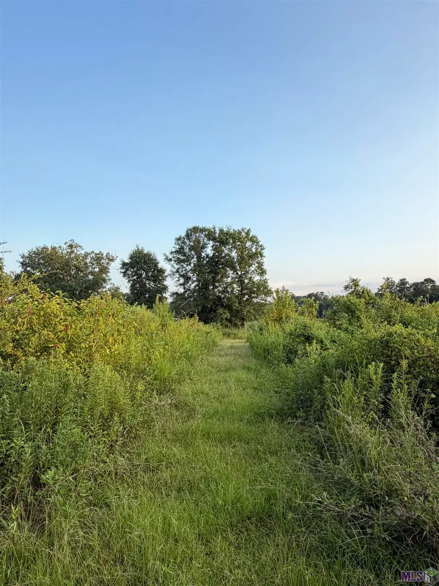 0 SW Jordan Dr, Smithdale, MS 39664 - #2