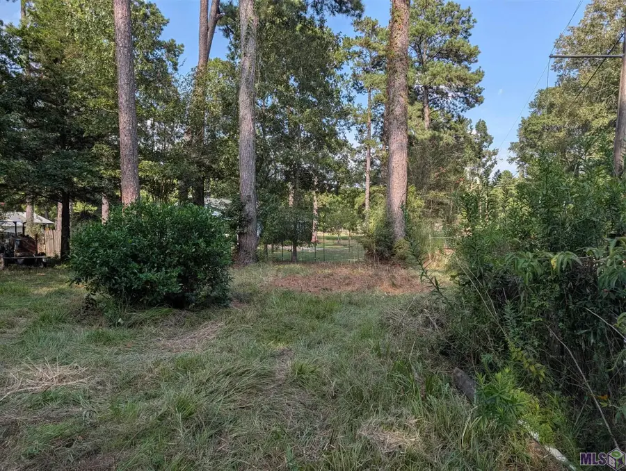 16703 Wildflower Ln, Walker, LA 70785 - #3