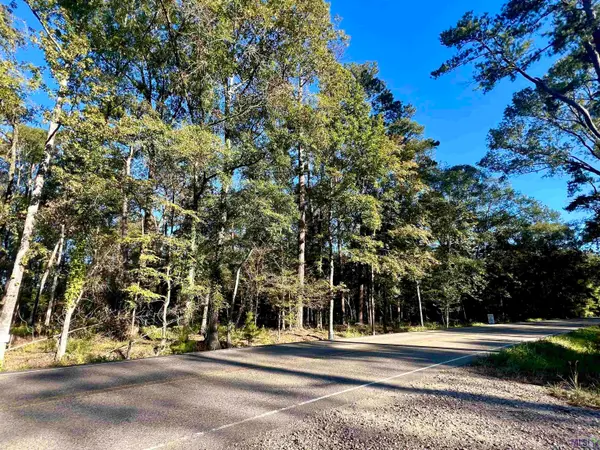 TBD Greenwell Springs Rd, Greenwell Springs, LA 70739