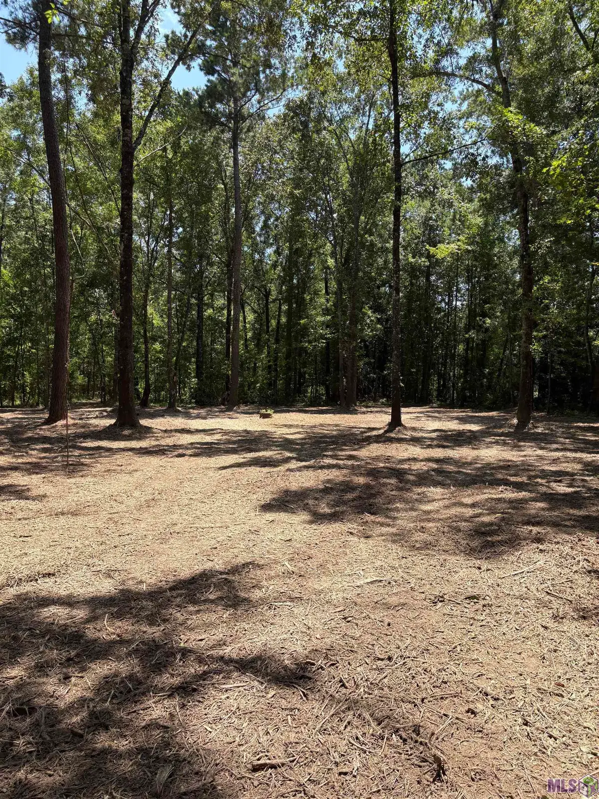 23686 La Hwy 442, Independence, LA 70443 - #1