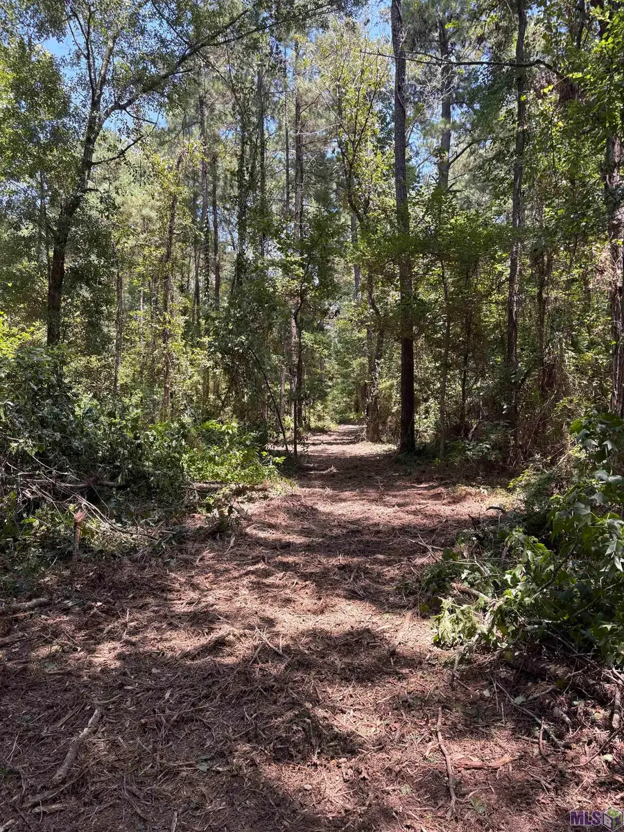 23686 La Hwy 442, Independence, LA 70443 - #2