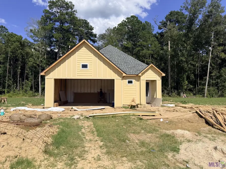 24178 Steller's Sea Drive, Denham Springs, LA 70726 - #3