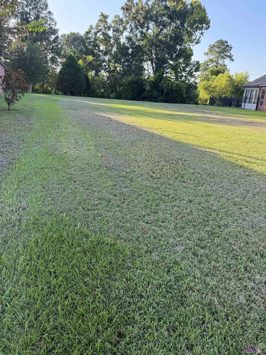 TBD Lot 416 Randolphs Dr, Plaquemine, LA 70764 - #2