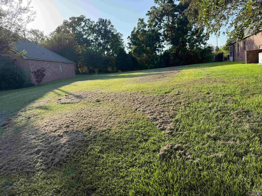 TBD Lot 416 Randolphs Dr, Plaquemine, LA 70764 - #3