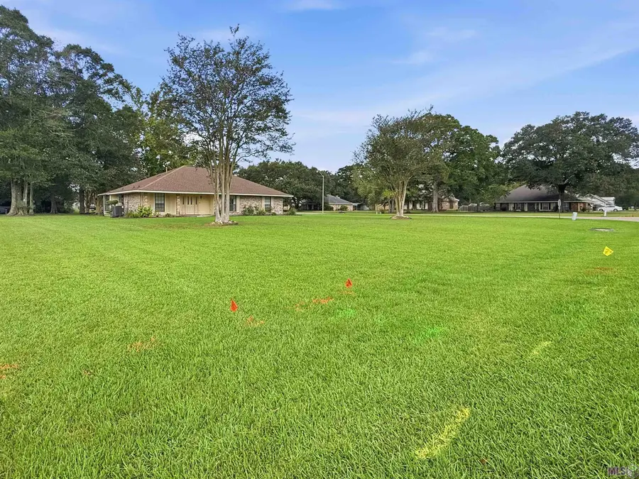 13525 Palomino Dr, Greenwell Springs, LA 70739 - #3