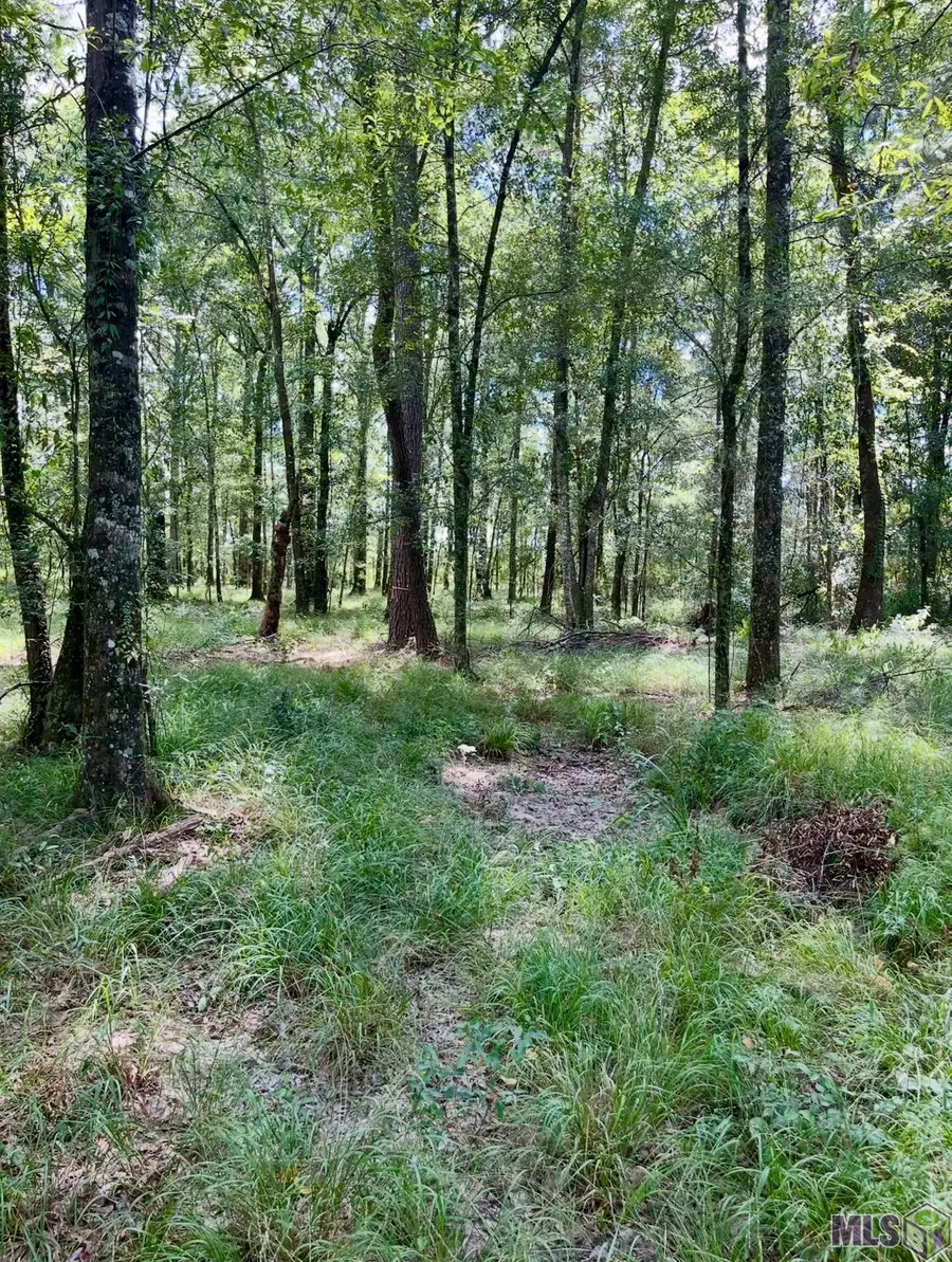J.h. Jenkins Ln, Denham Springs, LA 70706 - #3