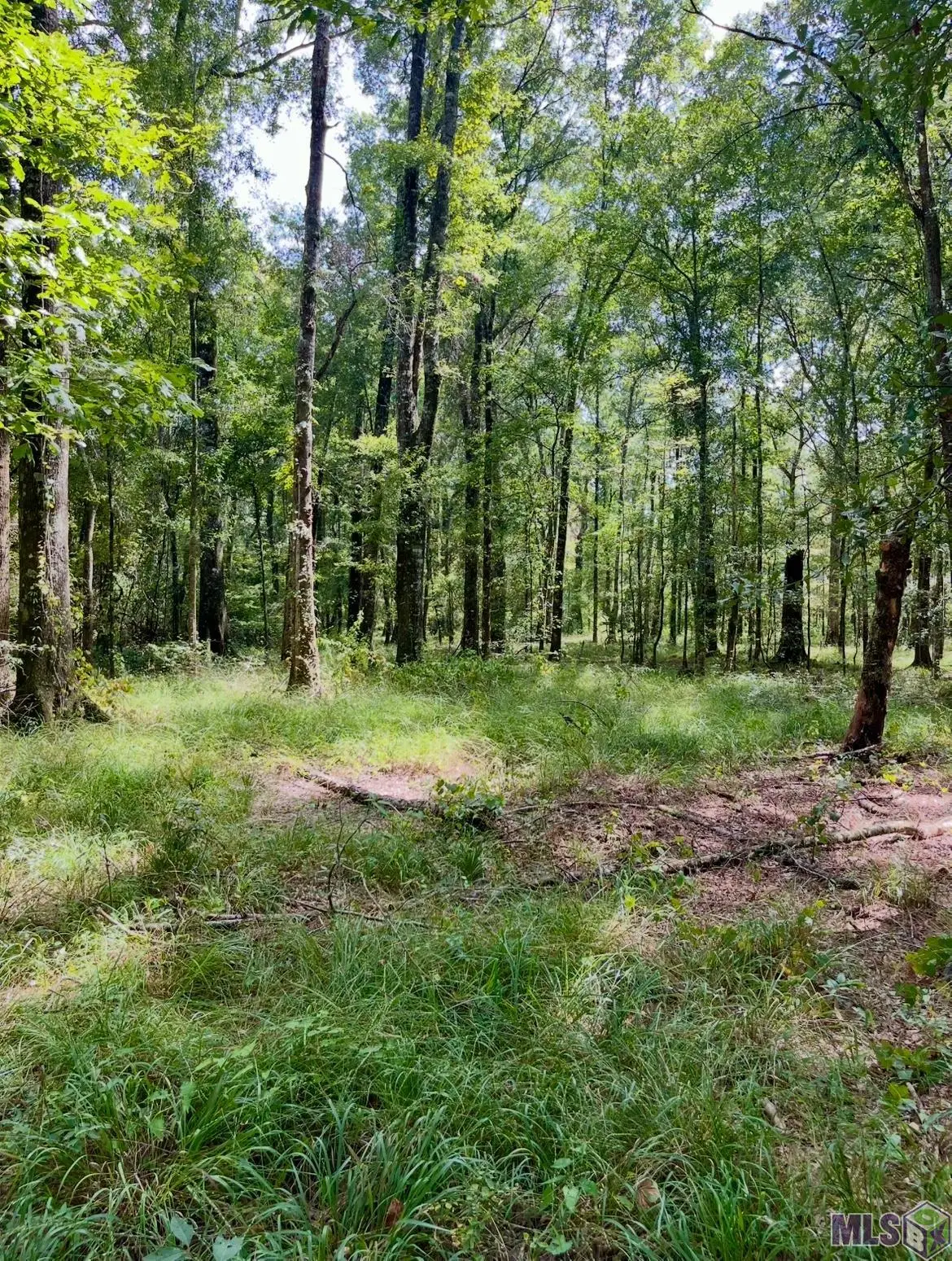 J.h. Jenkins Ln, Denham Springs, LA 70706 - #1