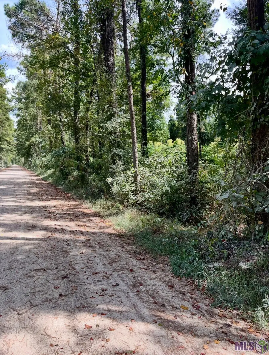 J.h. Jenkins Ln, Denham Springs, LA 70706 - #2