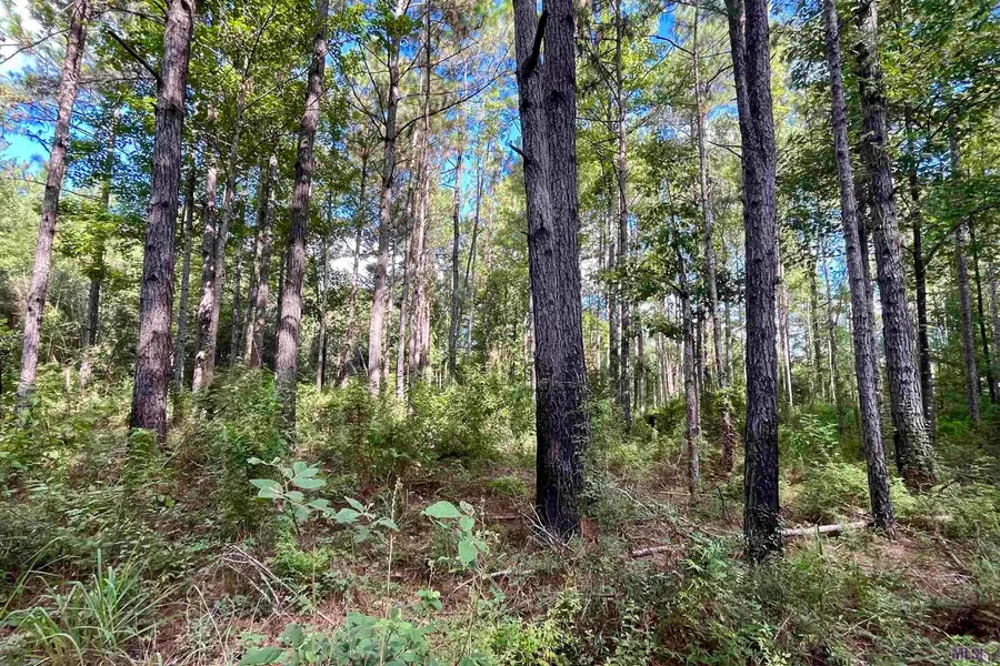 02 Washington Ln, Greensburg, LA 70441 - #3