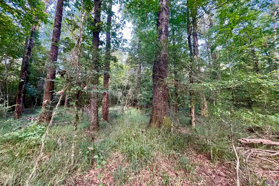 01 Bubba Tills Lane, Greensburg, LA 70441 - #3