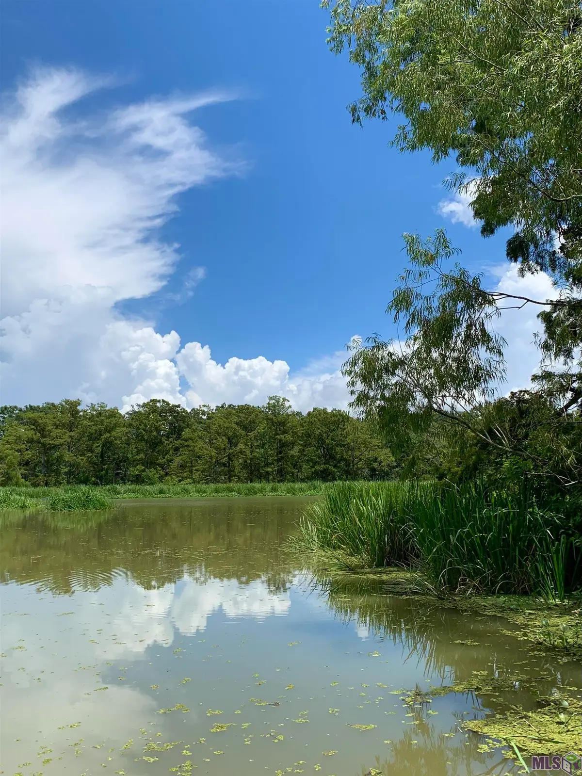 6934 Hwy 182, Centerville, LA 70522 - #1