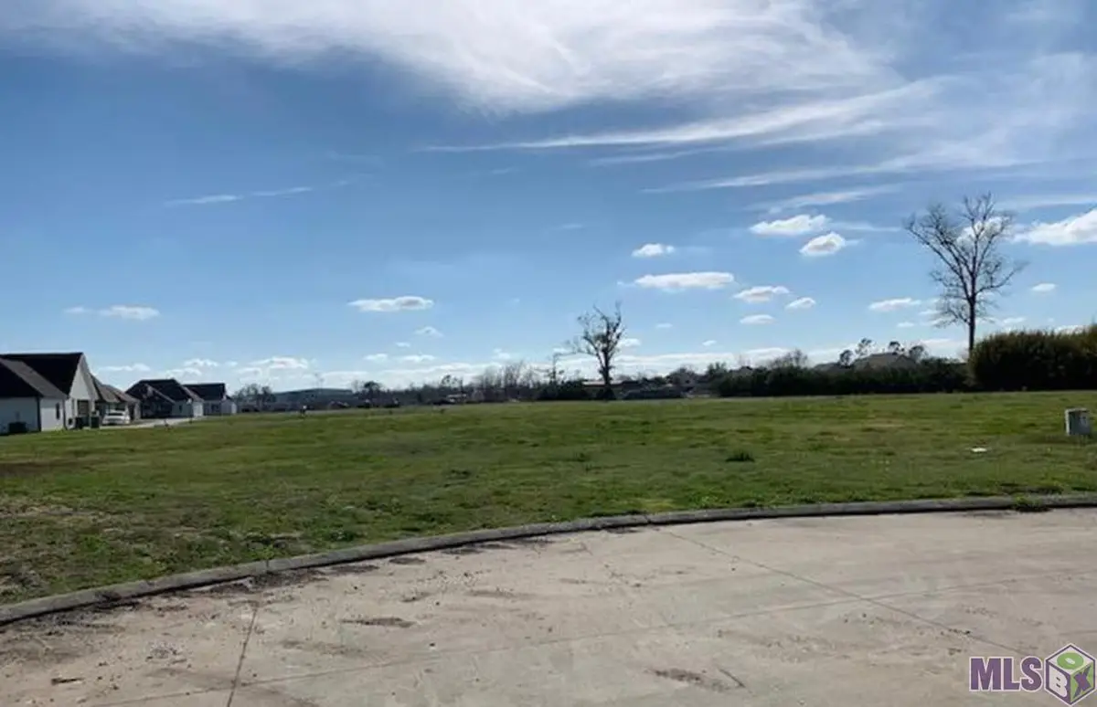 119 Lyndale Ct., Bayou Blue, LA 70364 - #1