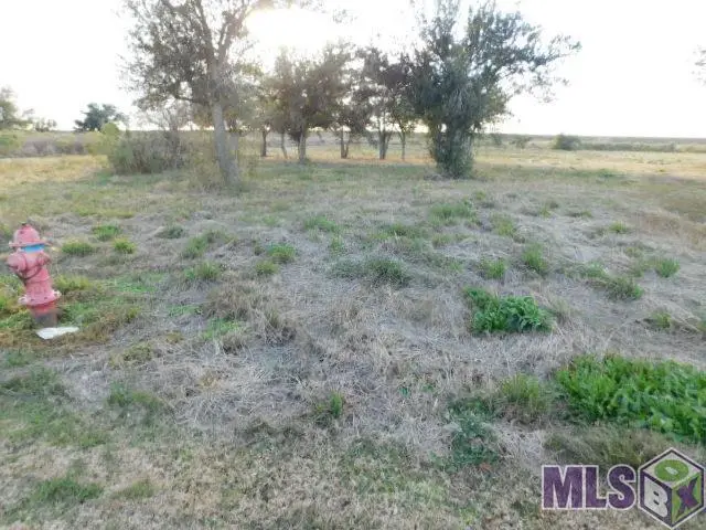 TBD South Alex Plaisance Boulevard, Golden Meadow, LA 70357 - #2