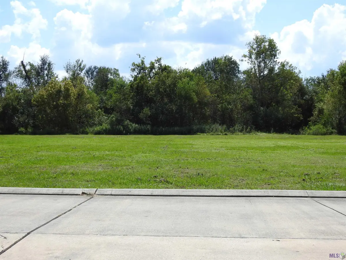 220 Derusso Street, Bayou Cane, LA 70364 - #1