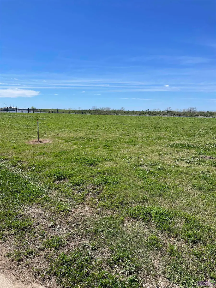 2168 Hwy 55 (batture), Montegut, LA 70377 - #3