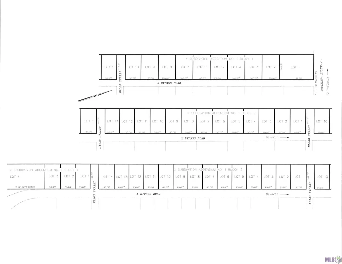 110 X Bypass Road, Raceland, LA 70394 - #1