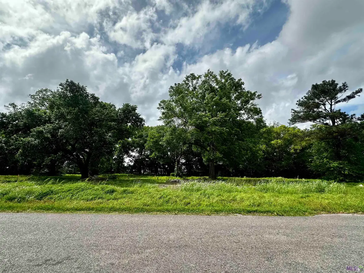 131 Rodriguez Ln, Raceland, LA 70394 - #1