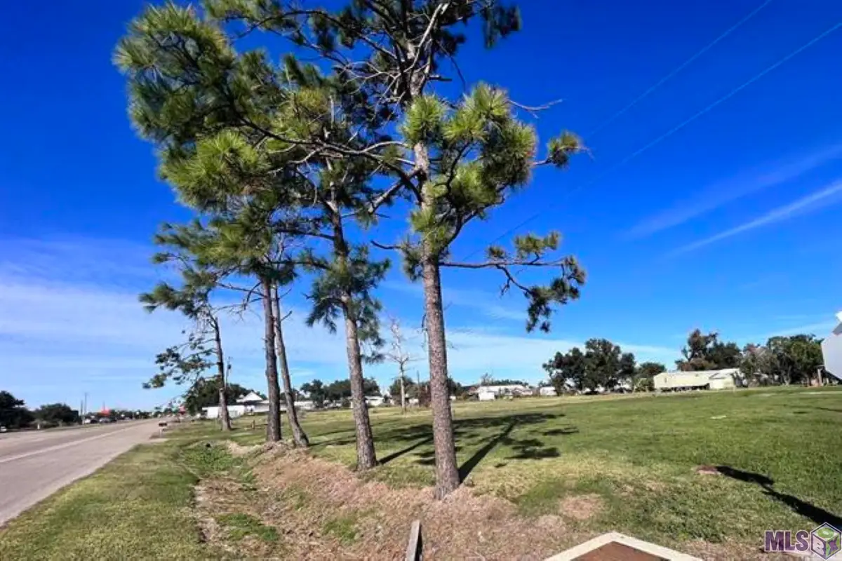 2124 S Alex Plaisance Boulevard, Golden Meadow, LA 70357 - #1