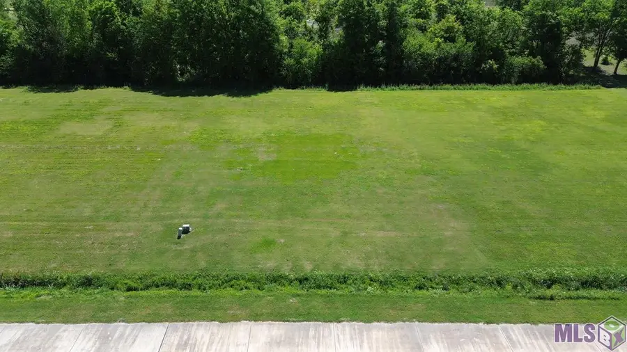 363 Le Belle Maison Drive, Raceland, LA 70301 - #3