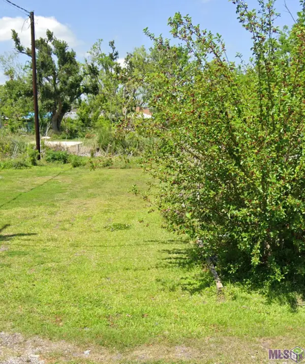 194 Pierce St, Golden Meadow, LA 70357