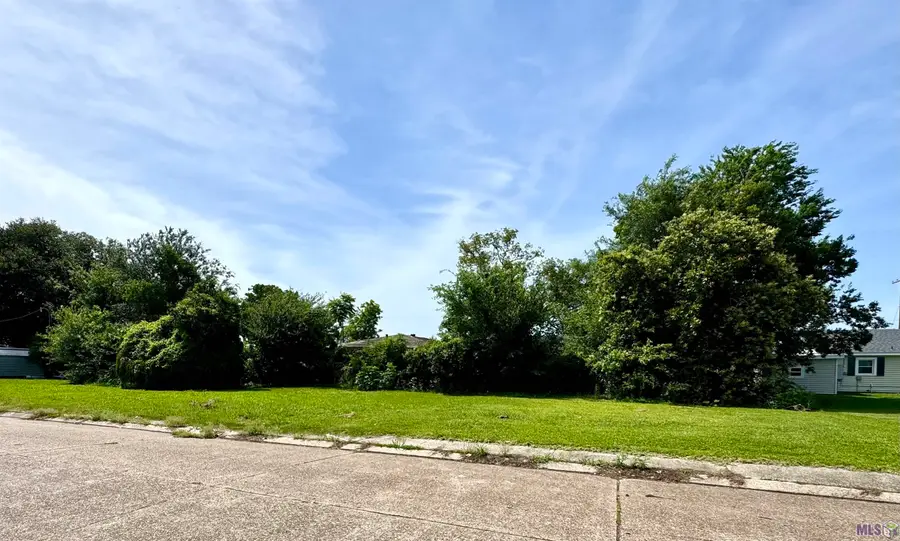 717 Aucoin St, Morgan City, LA 70380 - #2