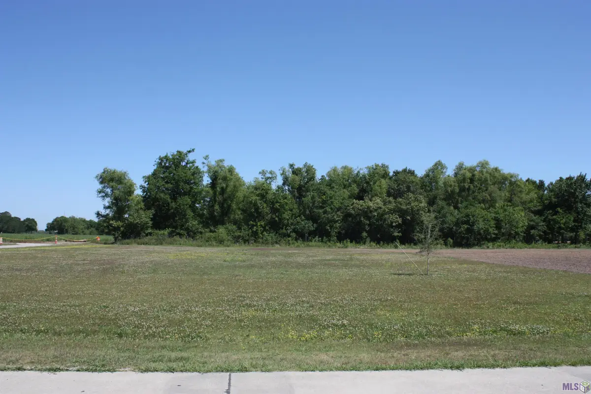 217 Morning Star Drive, Thibodaux, LA 70301 - #1