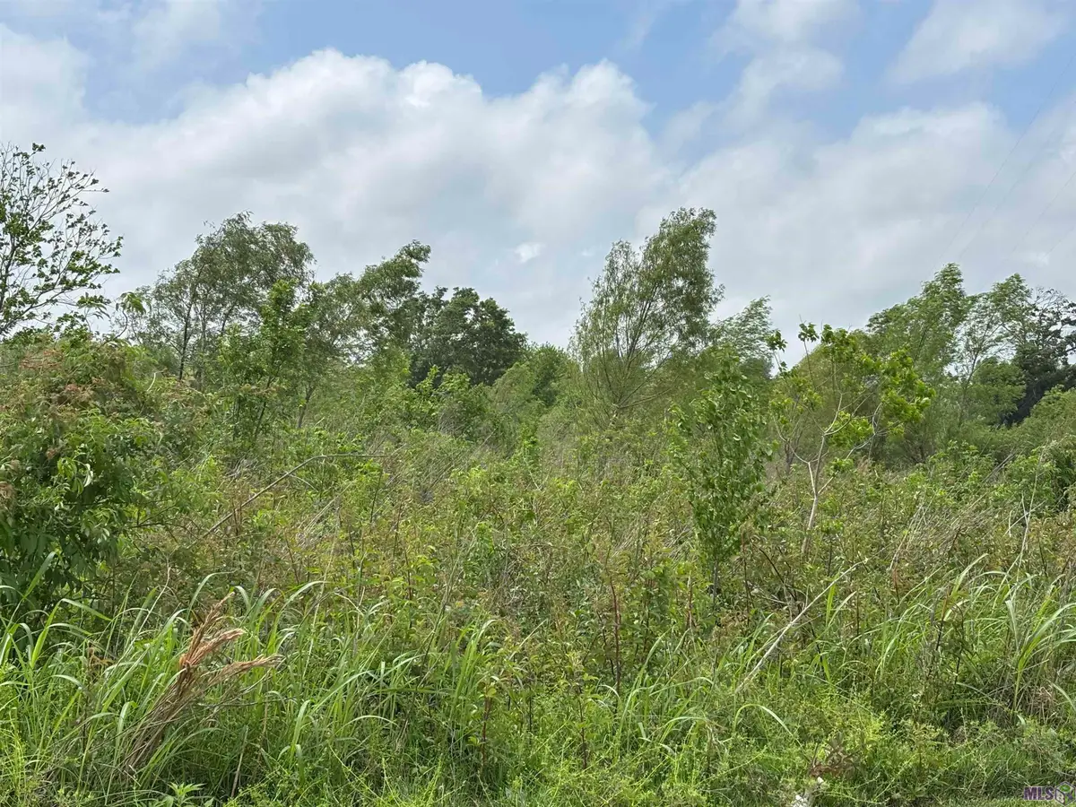 TBD East 23rd Street, Larose, LA 70373 - #1