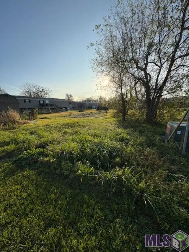 119 Vikki Drive, Houma, LA 70363 - #3