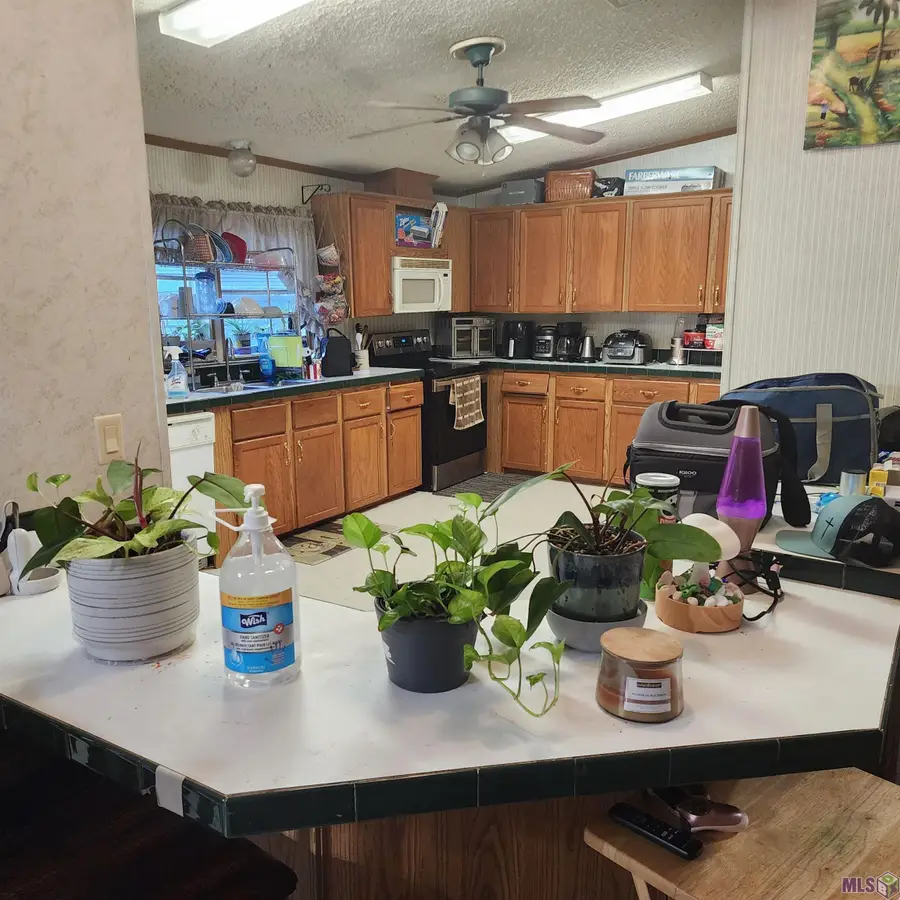 208 Swamp Dr, Bourg, LA 70343 - #2