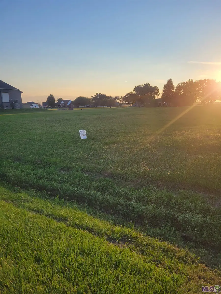 LOT 3 Col-van Street, Raceland, LA 70394 - #3