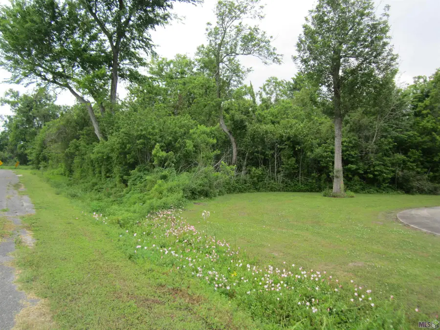 W 79th Street, Cut Off, LA 70345 - #2